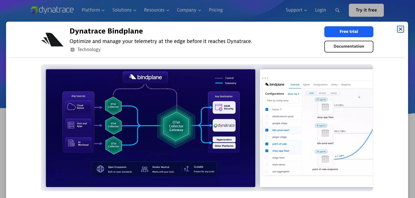 Visibilité de Bindplane dans le catalogue Dynatrace